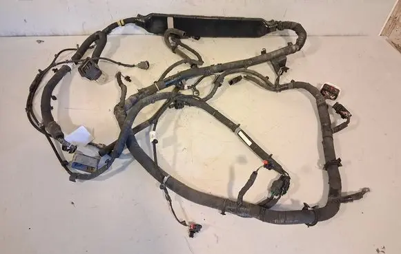Other wiring loom