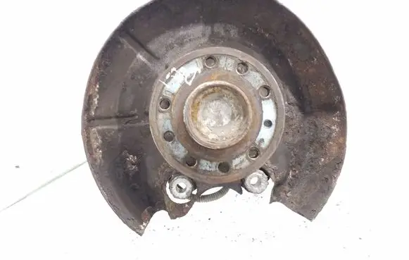 Opel Signum Rear wheel hub spindle/knuckle 