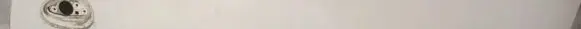 Fiat Punto (199) Front door glass trim molding 