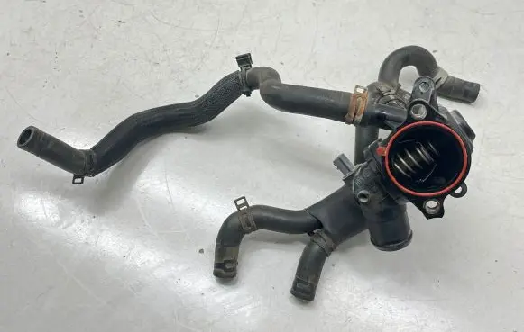 Thermostat/thermostat housing