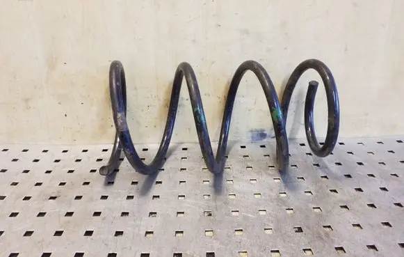 Front coil spring