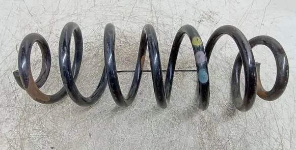 Volkswagen PASSAT B6 Rear coil spring