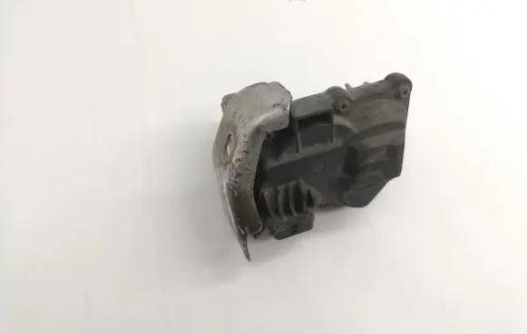 Nissan Qashqai Throttle valve 50885503