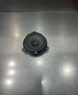 Nissan Leaf I (ZE0) Front door speaker G11504C4