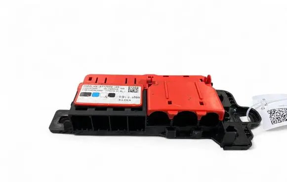 BMW i4 Positive wiring loom 8717954