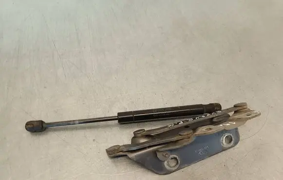 Land Rover Evoque I Engine bonnet/hood hinges 6H5216801AC
