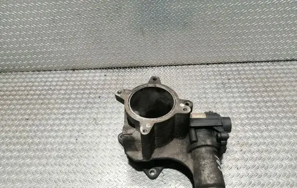 Volkswagen Crafter EGR valve 076131601B 700823060 571822112154