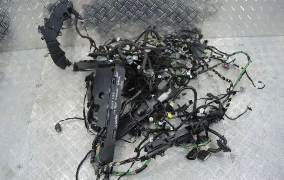 Ford Kuga III Other wiring loom