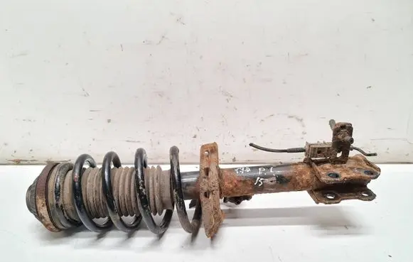 Opel Zafira B Front shock absorber with coil spring 24466547