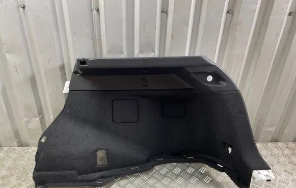 Lexus NX Trunk/boot side trim panel 64730-78040