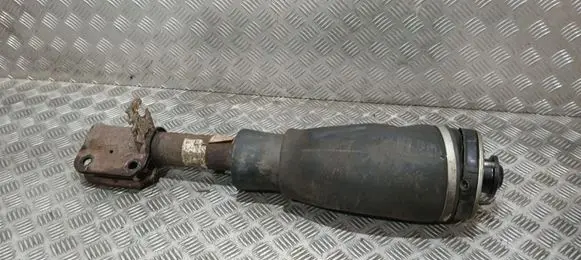 Land Rover Range Rover L322 Air suspension front shock absorber 22236740