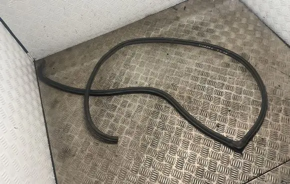 Hyundai Terracan Front door rubber seal 