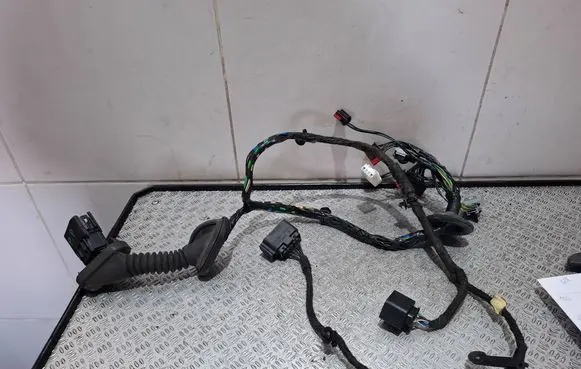 Ford S-MAX Front door wiring loom BG9T14A584