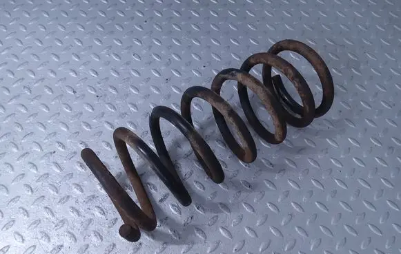 Rear coil spring