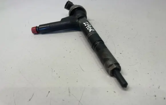 Opel Combo C Fuel injector 8973138613