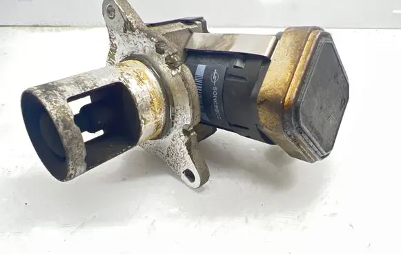 EGR valve