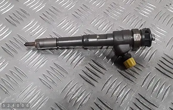 Renault Kangoo II Fuel injector 0445110485 H8201108033