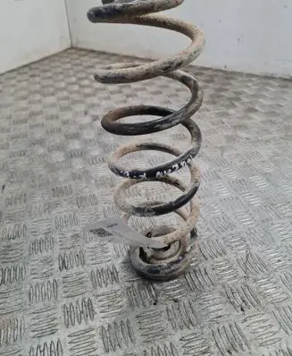 Rear coil spring