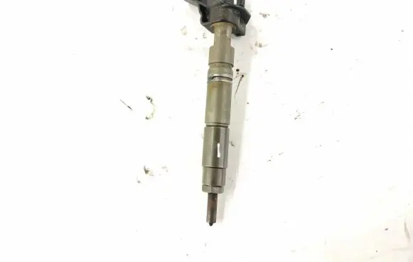 Mercedes-Benz R W251 Fuel injector 6420700587 6420701987