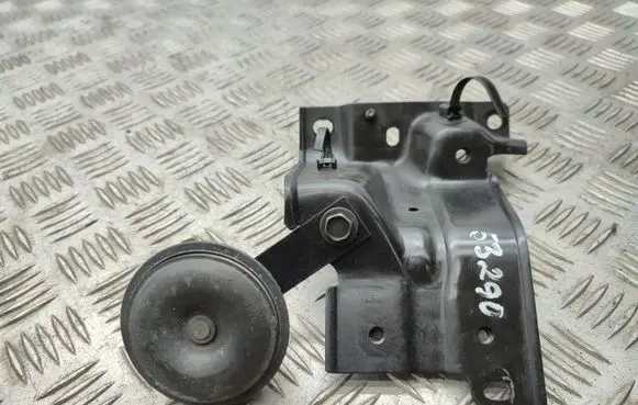 Horn signal