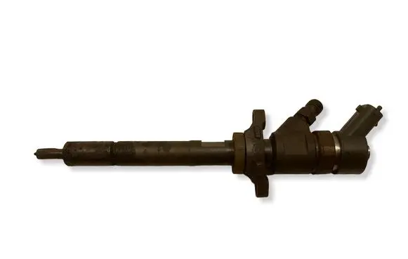 Citroen C4 I Picasso Fuel injector 0445110251 19178