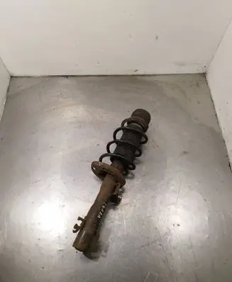 Front shock absorber with coil spring