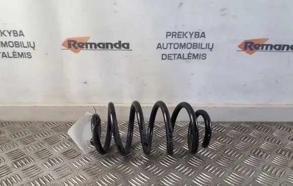 Renault Zoe Rear coil spring