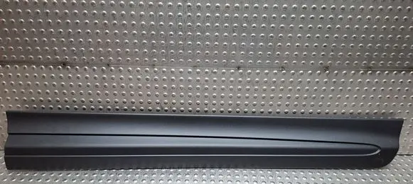 Front door trim (molding)