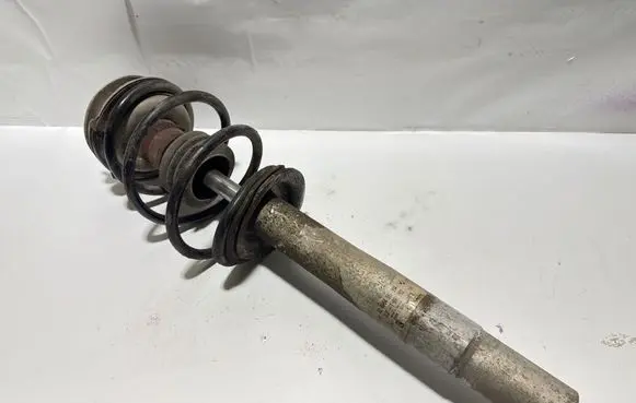 BMW 5 E39 Front shock absorber/damper 1096862 82490455214