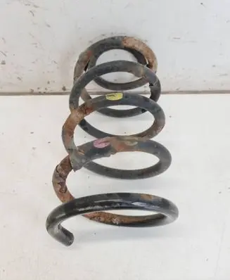 Rear coil spring