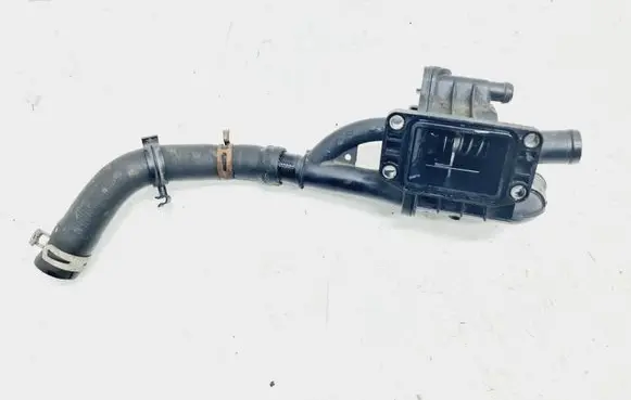 Thermostat/thermostat housing