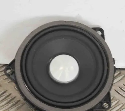 Rear door speaker