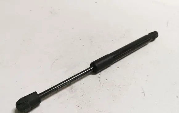 Ford Mustang V Tailgate/trunk strut/damper AR3363406A10AA