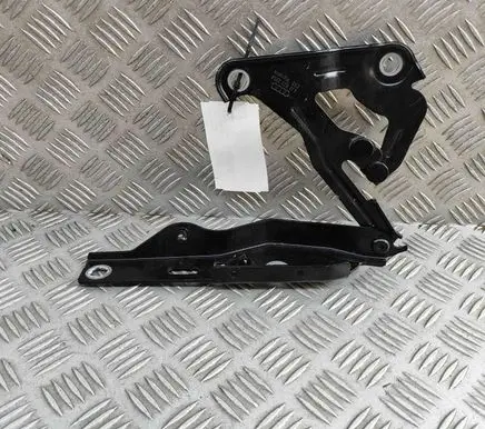 Audi E-tron GT Engine bonnet/hood hinges 4J3823295A