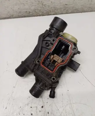 Thermostat/thermostat housing