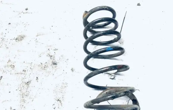 KIA Carens I Rear coil spring