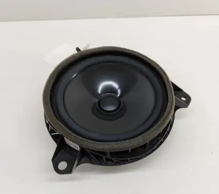 Rear door speaker