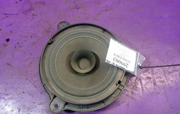 Front door speaker