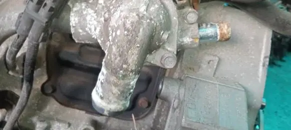 Honda Insight Engine coolant pipe/hose
