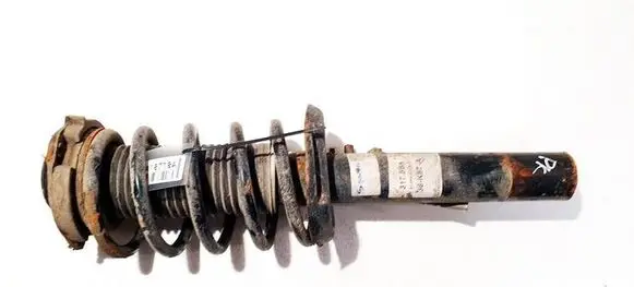 Volkswagen Tiguan Front shock absorber/damper 317581 824904013023
