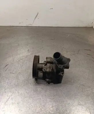 Suzuki Grand Vitara II Water pump Wp241017 S577en02