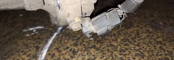 Nissan Almera Tino Crankshaft position sensor 