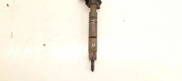 Mercedes-Benz R W251 Fuel injector 6420701387 6420701987