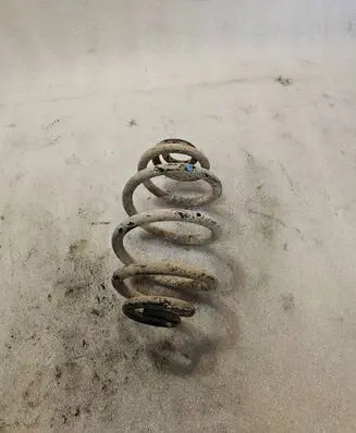 Volkswagen PASSAT B5.5 Rear coil spring