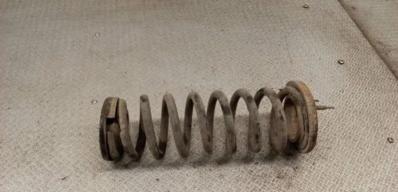 KIA Carens II Rear coil spring 