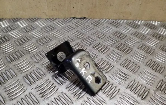 Citroen DS4 Rear door lower hinge