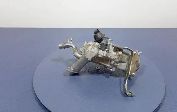 Peugeot Partner EGR valve 9802194080