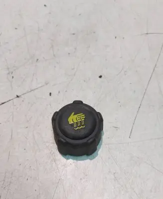 Renault Kangoo II Fuel tank filler cap 
