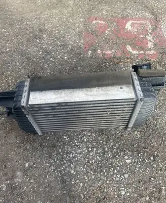 Nissan Juke I F15 Intercooler radiator SHA1394003 PA66GF30
