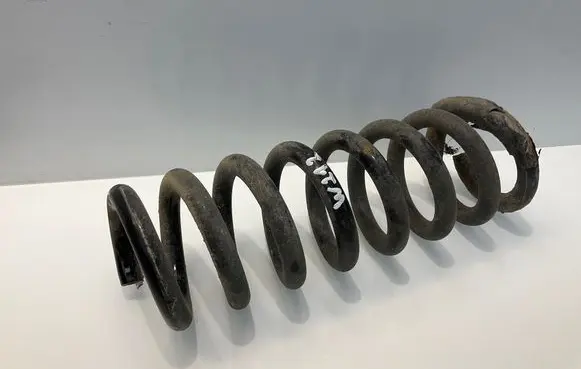 Rear coil spring